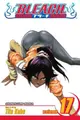 Cover image for Bleach, Volume 17