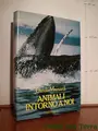 Cover image for Animali intorno a noi