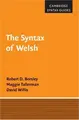 Cover image for The Syntax of Welsh (Cambridge Syntax Guides)