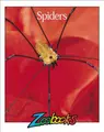 Cover image for Spiders (Zoobooks Series)
