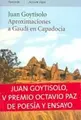 Cover image for Aproximaciones A Gaudi En Capadocia