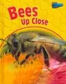Cover image for Bees Up Close (Minibeasts Up Close)