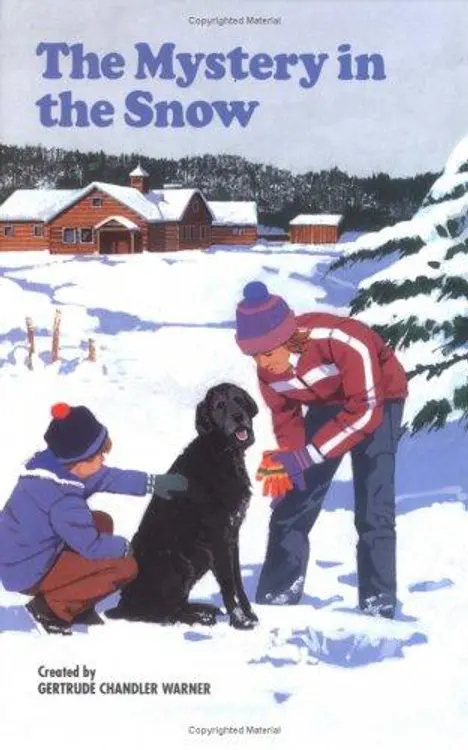 The Mystery in the Snow cover