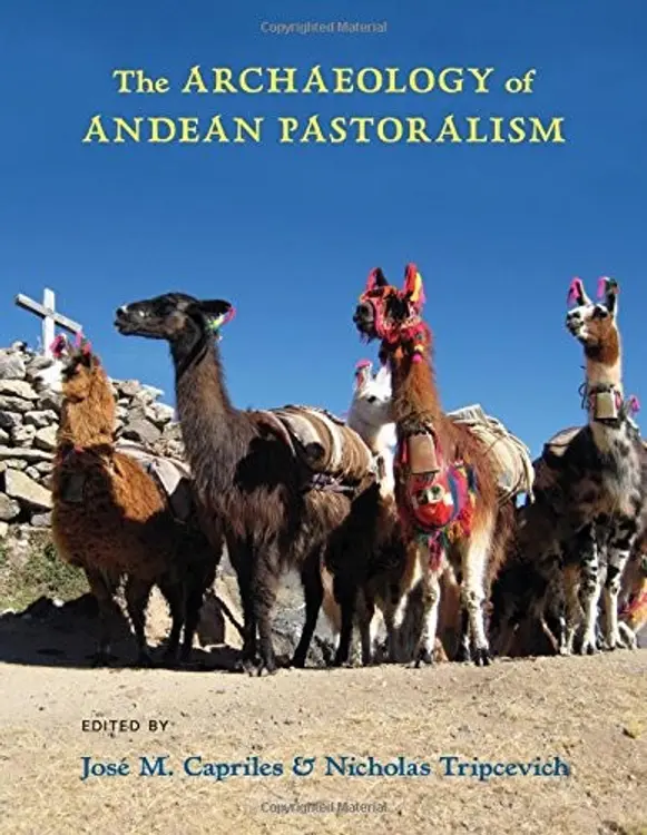 The Archaeology of Andean Pastoralism cover