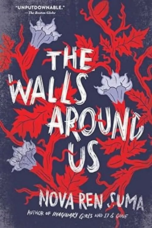 The walls around us: a novel cover