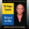 Cover image for The Primary Sensation/The Law of Love-bliss (Bright Revelation)