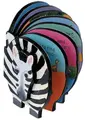 Cover image for Chunky Safari Zebra