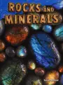 Cover image for Rocks and Minerals