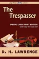 Cover image for The Trespasser