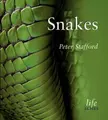 Cover image for Snakes