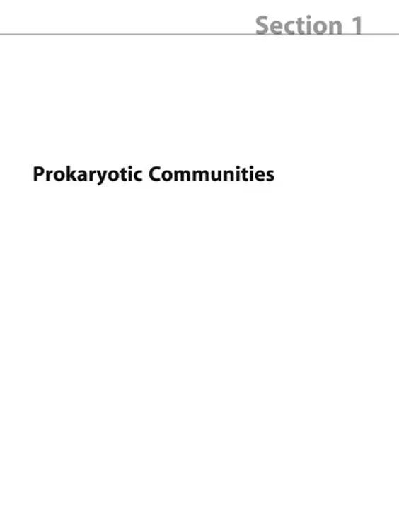 The Prokaryotes: Prokaryotic Communities and Ecophysiology cover