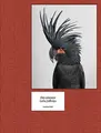 Cover image for Des oiseaux - Leila Jeffreys