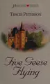 Cover image for Five Geese Flying (Heartsong Presents #259)