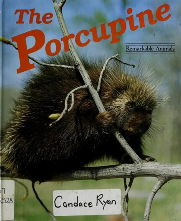 The porcupine cover