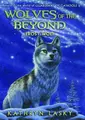 Cover image for Frost wolf