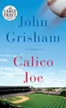 Cover image for Calico Joe