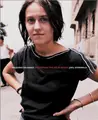 Cover image for Joel Sternfeld: Treading on Kings