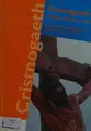 Cover image for Cristnogaeth ar gyfer myfyrwyr UG