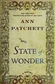 Cover image for The story of wonder