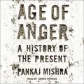 Cover image for Age of Anger