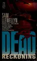 Cover image for Dead reckoning