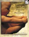 Cover image for Hole's essentials of human anatomy and physiology