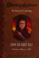 Cover image for Down the rabbit hole