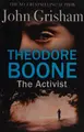 Cover image for Theodore Boone