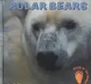 Cover image for Polar bears