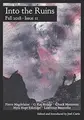 Cover image for Into the Ruins