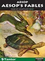 Cover image for Aesop's Fables