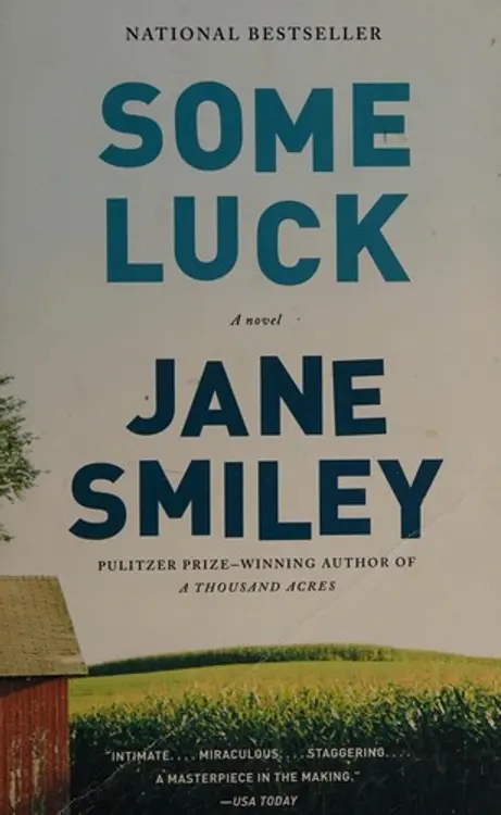 Some luck: a novel cover