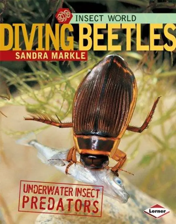 Diving Beetles: Underwater Insect Predators (Insect World) cover