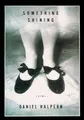 Cover image for Something shining