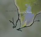 Cover image for The Other Side of Darkness (Recorded Live at the Four Winds Survival Project)