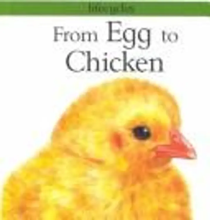 From egg to chicken cover