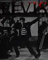 Cover image for Elvis