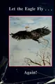 Cover image for Let the eagle fly-- again!