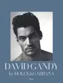 Cover image for David Gandy by Dolce & Gabbana: The Male Icon