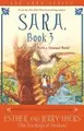 Cover image for Sara, Book 3