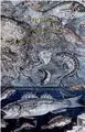 Cover image for Halievtica