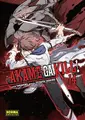 Cover image for Akame Ga Kill! 14