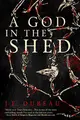 Cover image for A God in the Shed