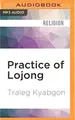 Cover image for Practice of Lojong