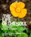 Cover image for The life of the soul