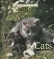 Cover image for Cats