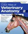 Cover image for The horse