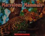 Cover image for Marvelous mammals