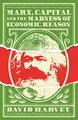 Cover image for Marx Capital & Madness Economic Reason