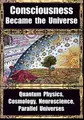 Cover image for How Consciousness Became the Universe